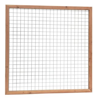 Betonijzer trellis Douglas kader 180x180