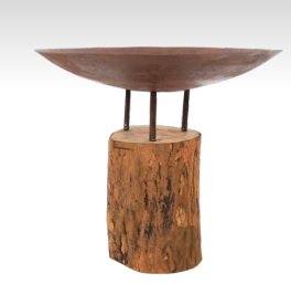 Fire Pit Logger